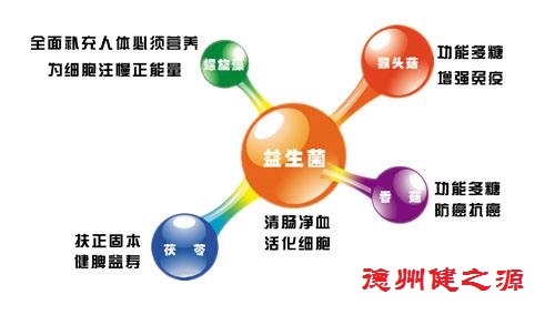 腸胃功能差，益生菌就可以解決一切