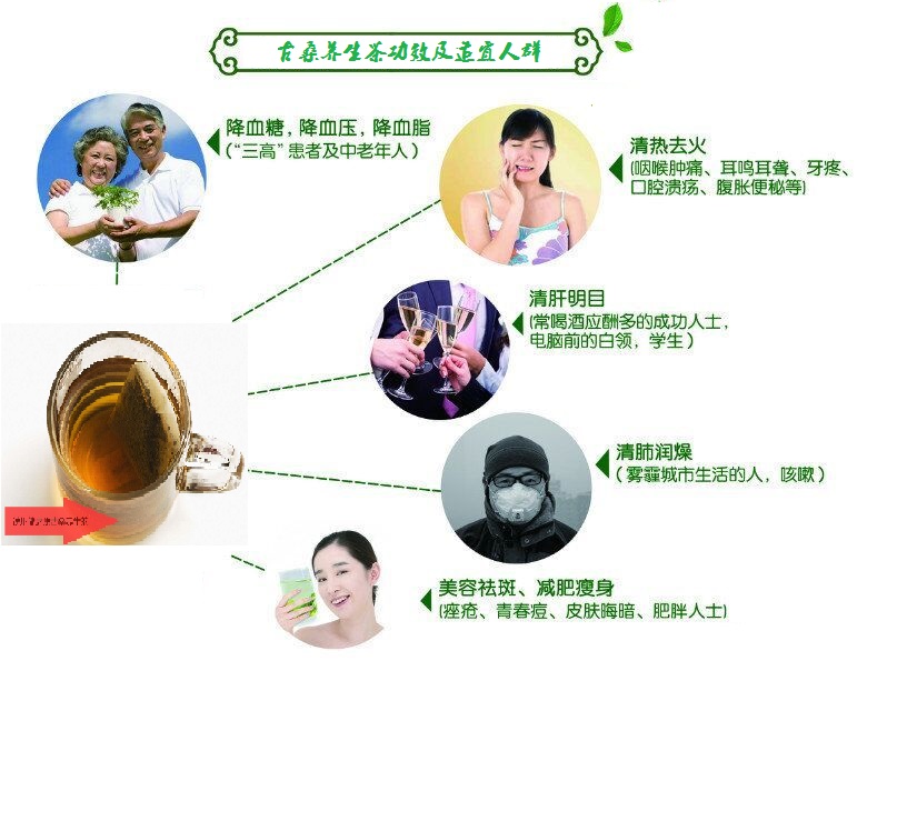 桑葉茶，營養(yǎng)長壽健康之茶