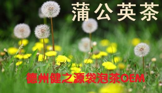 蒲公英茶，今天您喝了嗎？